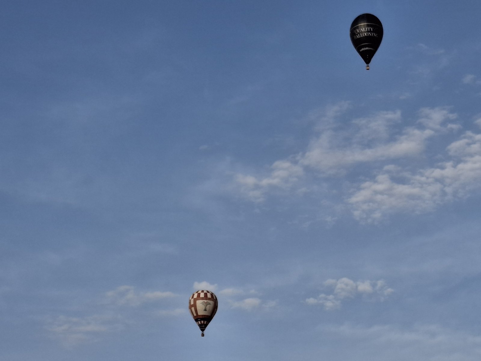 festival balona na vrući zrak (12)