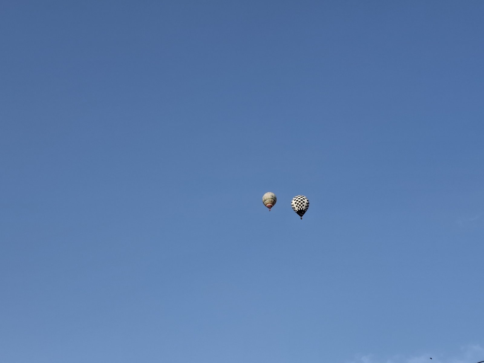 festival balona na vrući zrak (14)