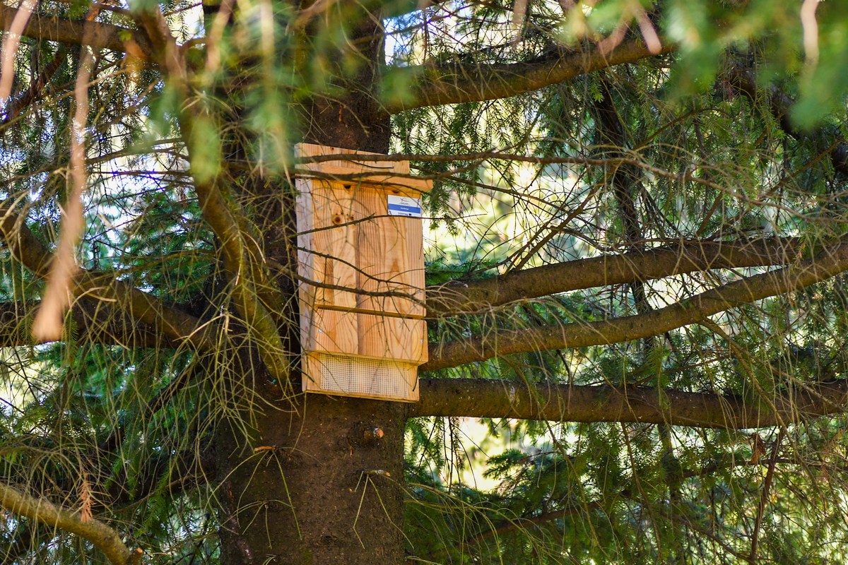 Nova zelena oaza na istoku Čakovca: Otvoren park u Centru znanja Međimurske županije!
