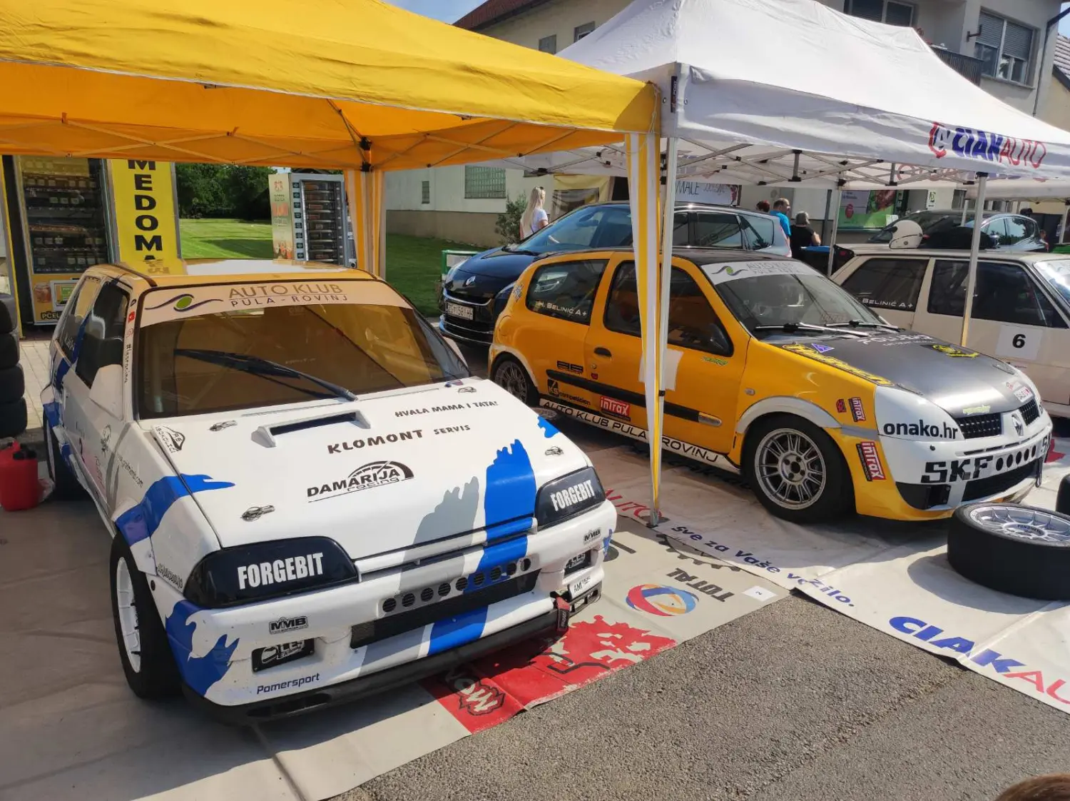 fletni i stekli,2024 (56) fletni i stekli,2024 (56)