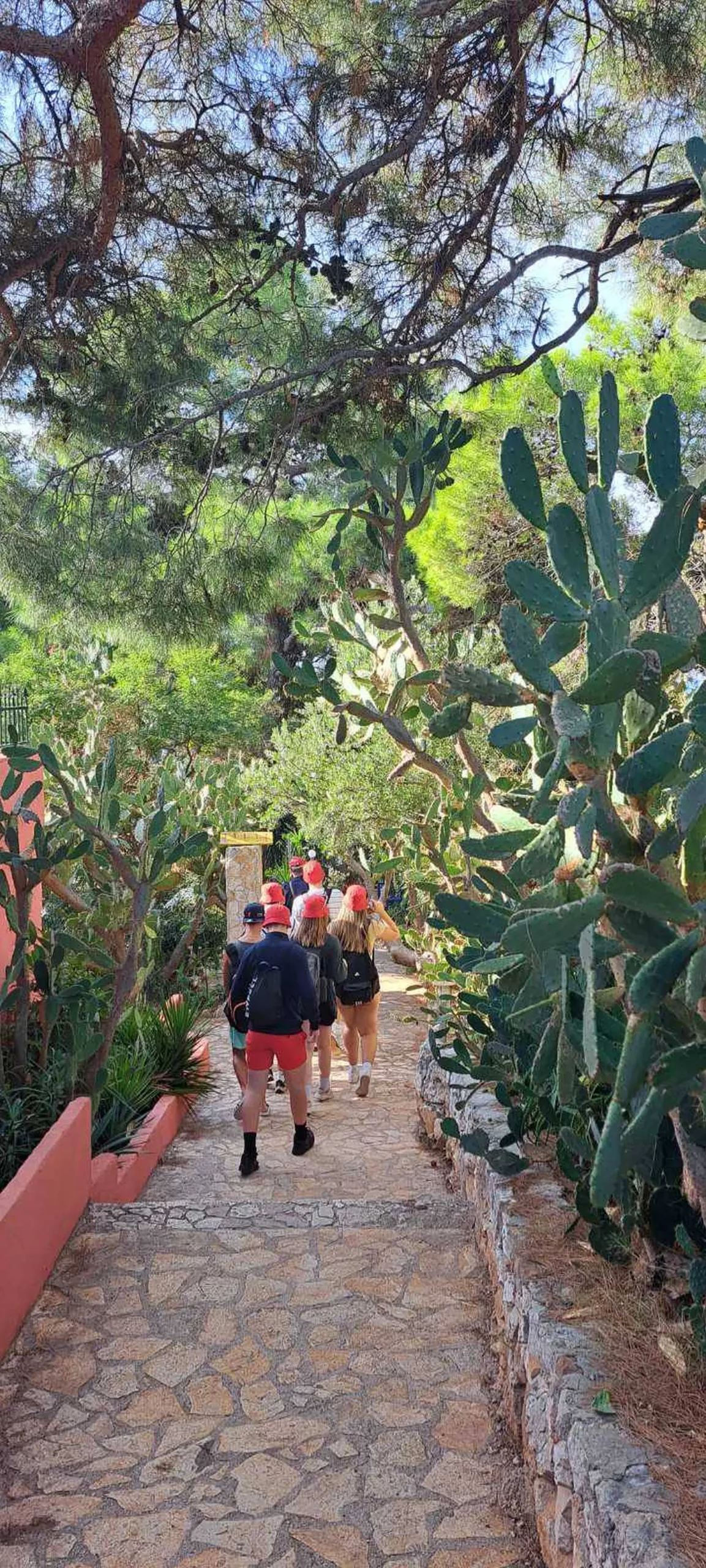 flota mira,ivan sokač (5) flota mira,ivan sokač (5)