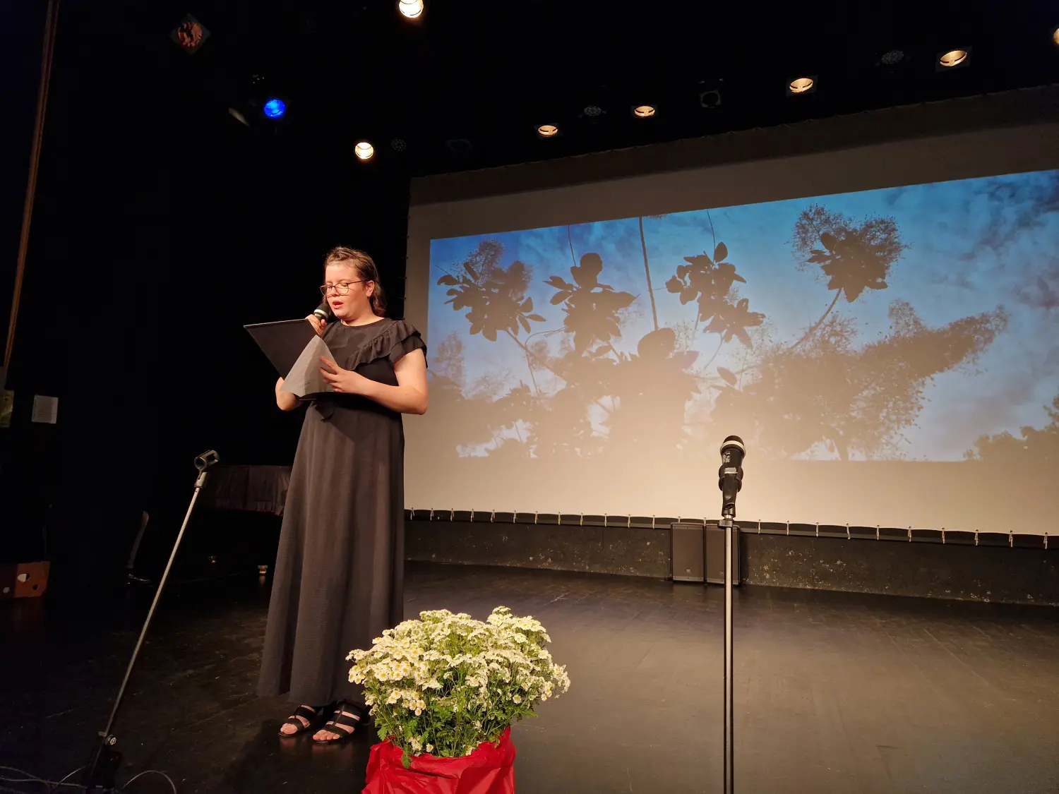 folklorni susreti Mursko Središće (15) folklorni susreti Mursko Središće (15)