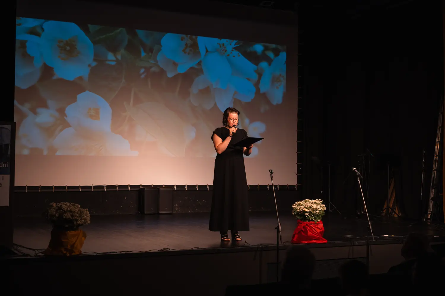 folklorni susreti Mursko Središće (26) folklorni susreti Mursko Središće (26)