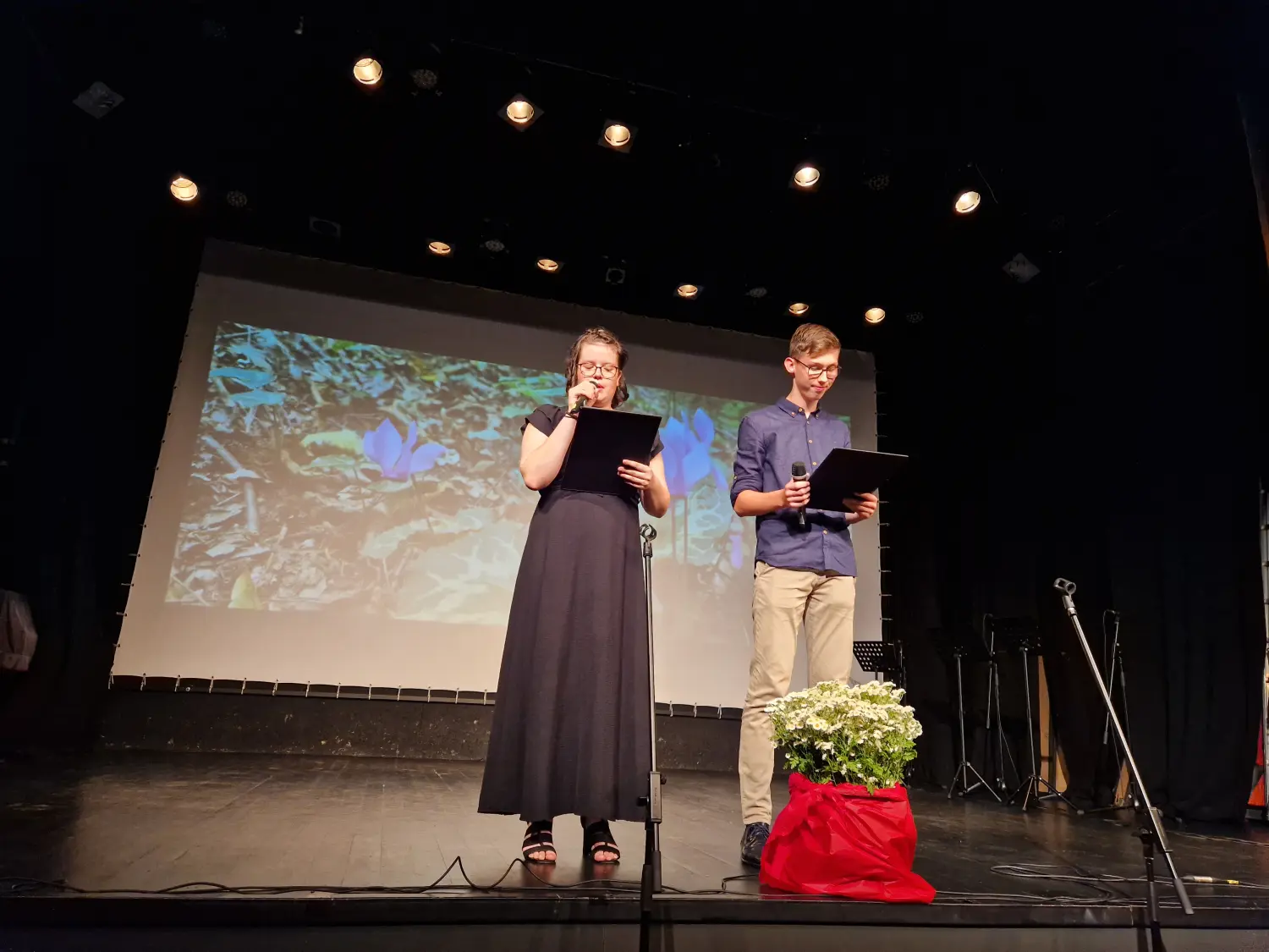 folklorni susreti Mursko Središće (8) folklorni susreti Mursko Središće (8)