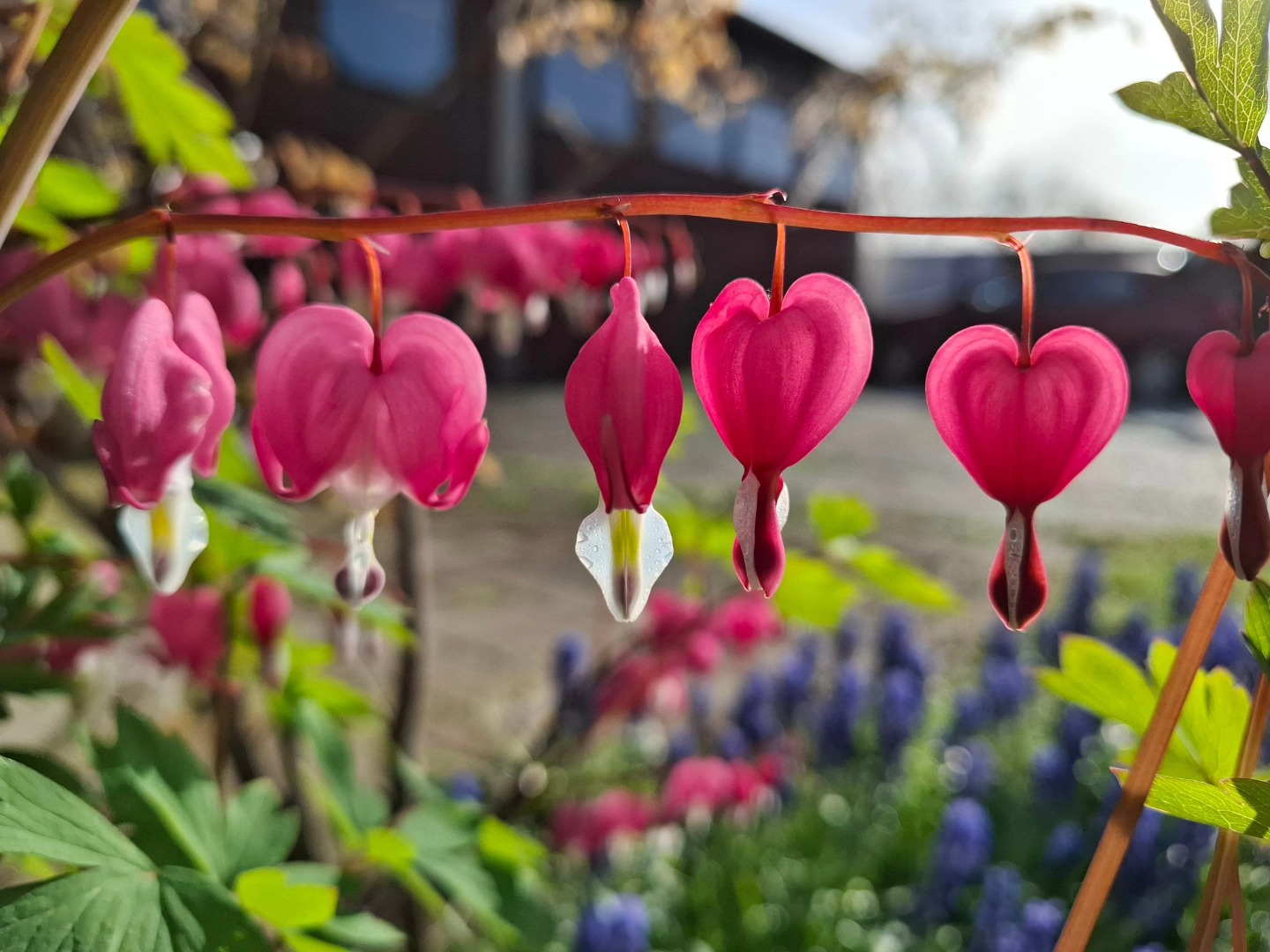 fotonatječaj Donja Dubrava (10)