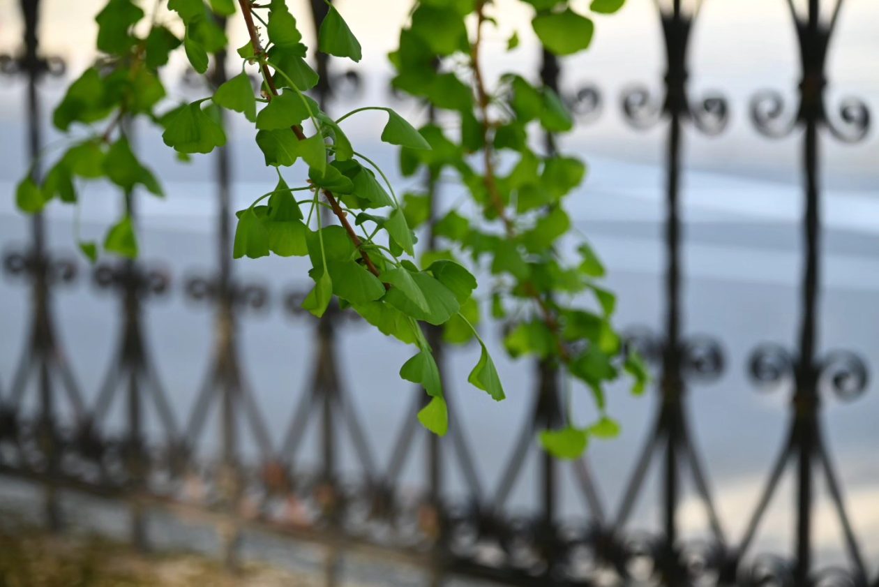 fotonatječaj Donja Dubrava (8)