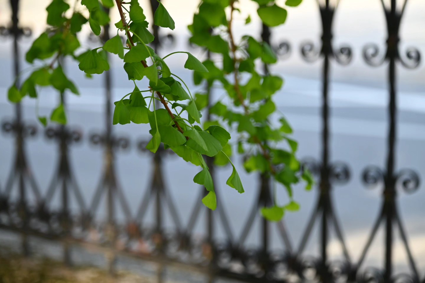 fotonatječaj Donja Dubrava (8)