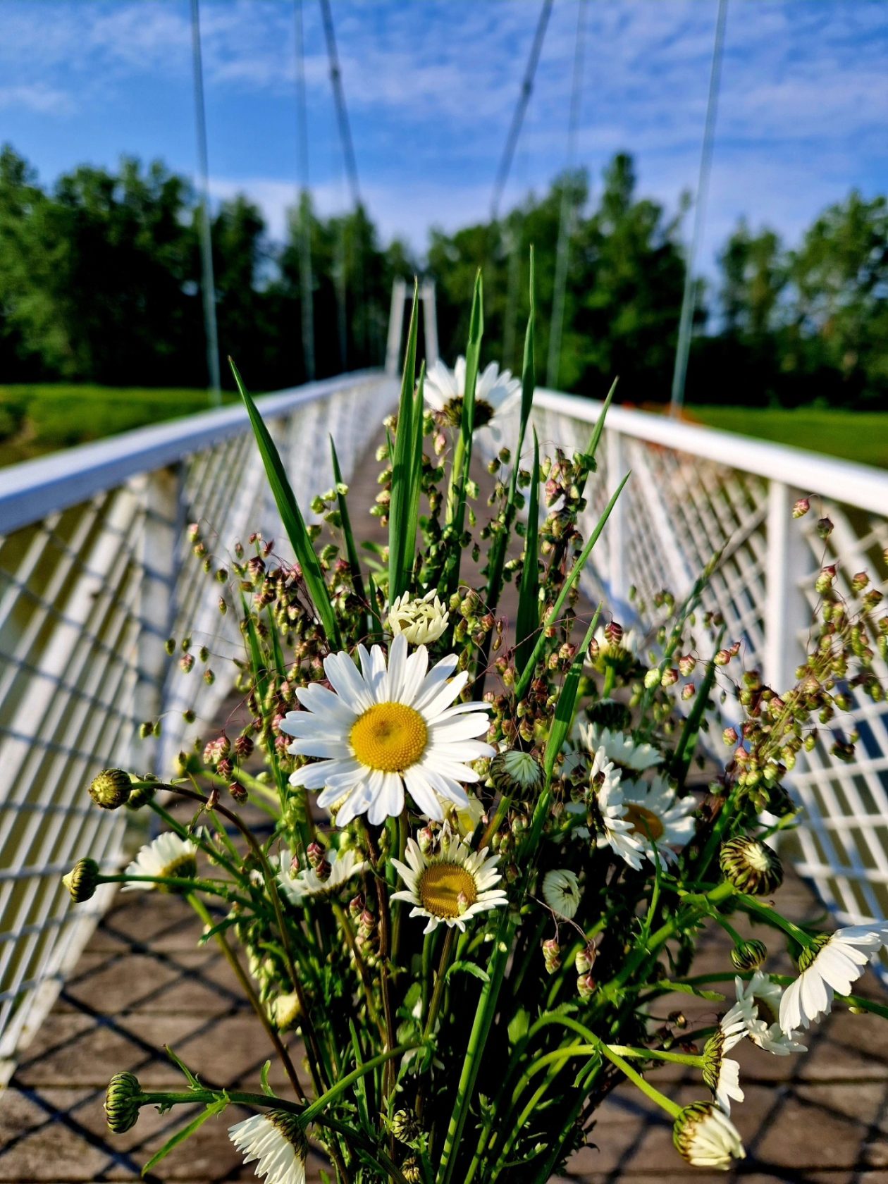 fotonatječaj Donja Dubrava (9)