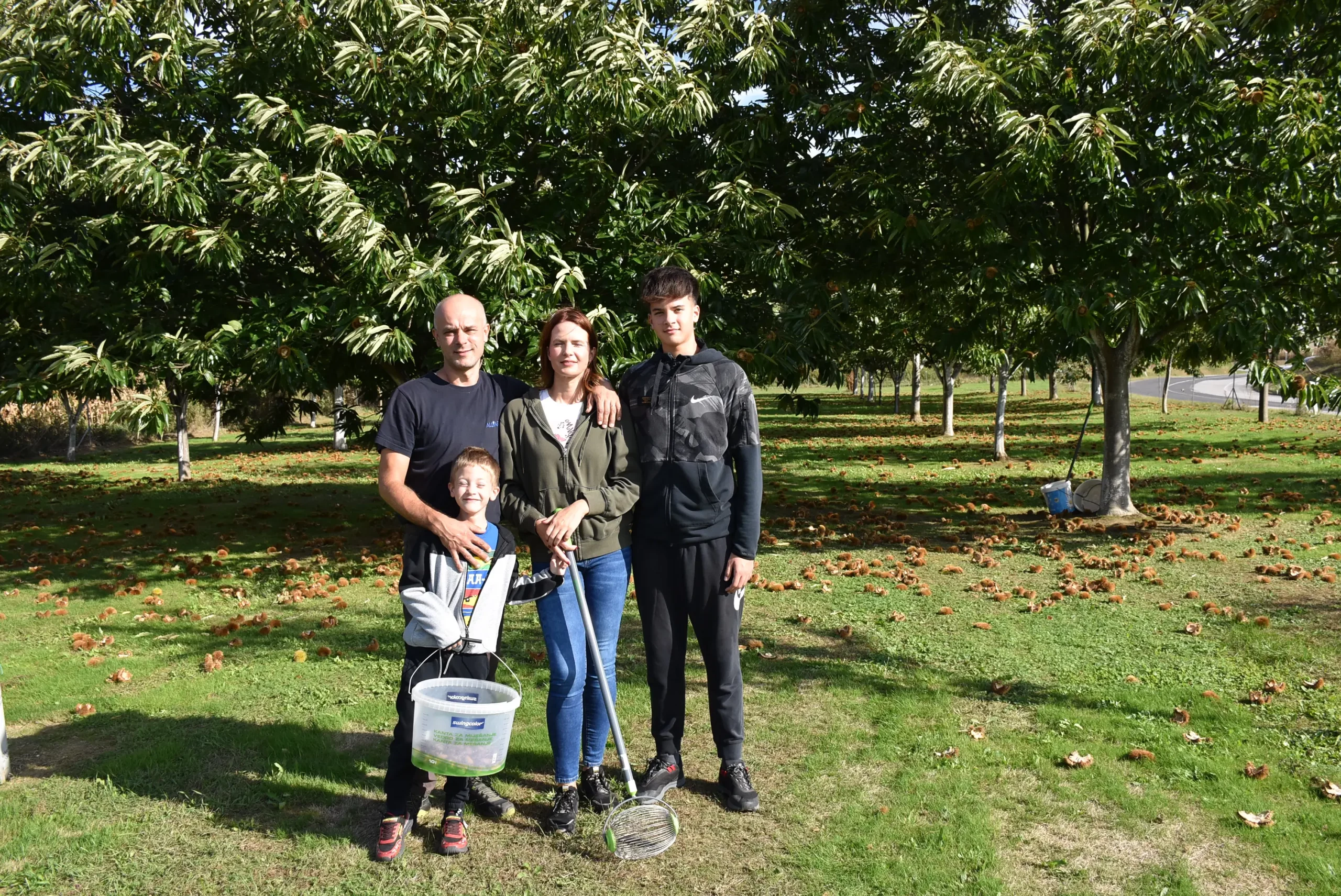 frančić,peklenica,maruni (13) frančić,peklenica,maruni (13)