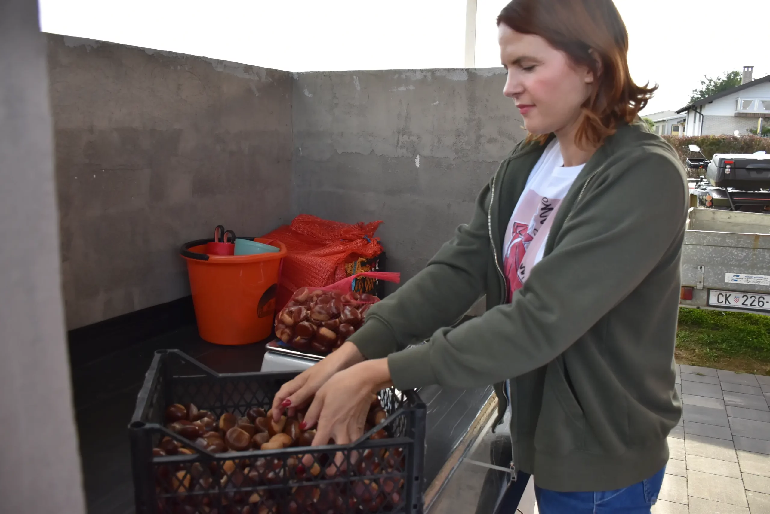 frančić,peklenica,maruni (2) frančić,peklenica,maruni (2)