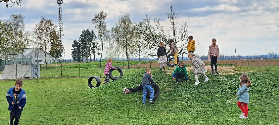 DV cvrčak PO stonoga
