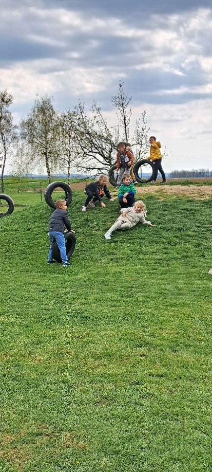 DV cvrčak PO stonoga