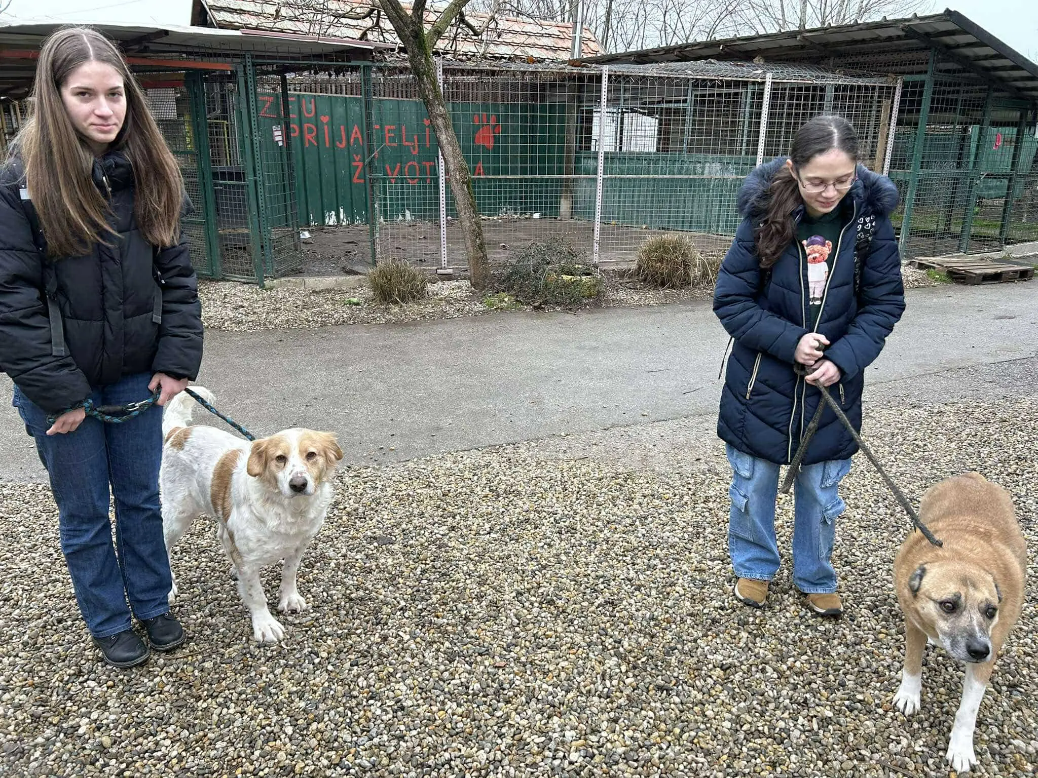 gimnazija josip slavenski u azilu (10)
