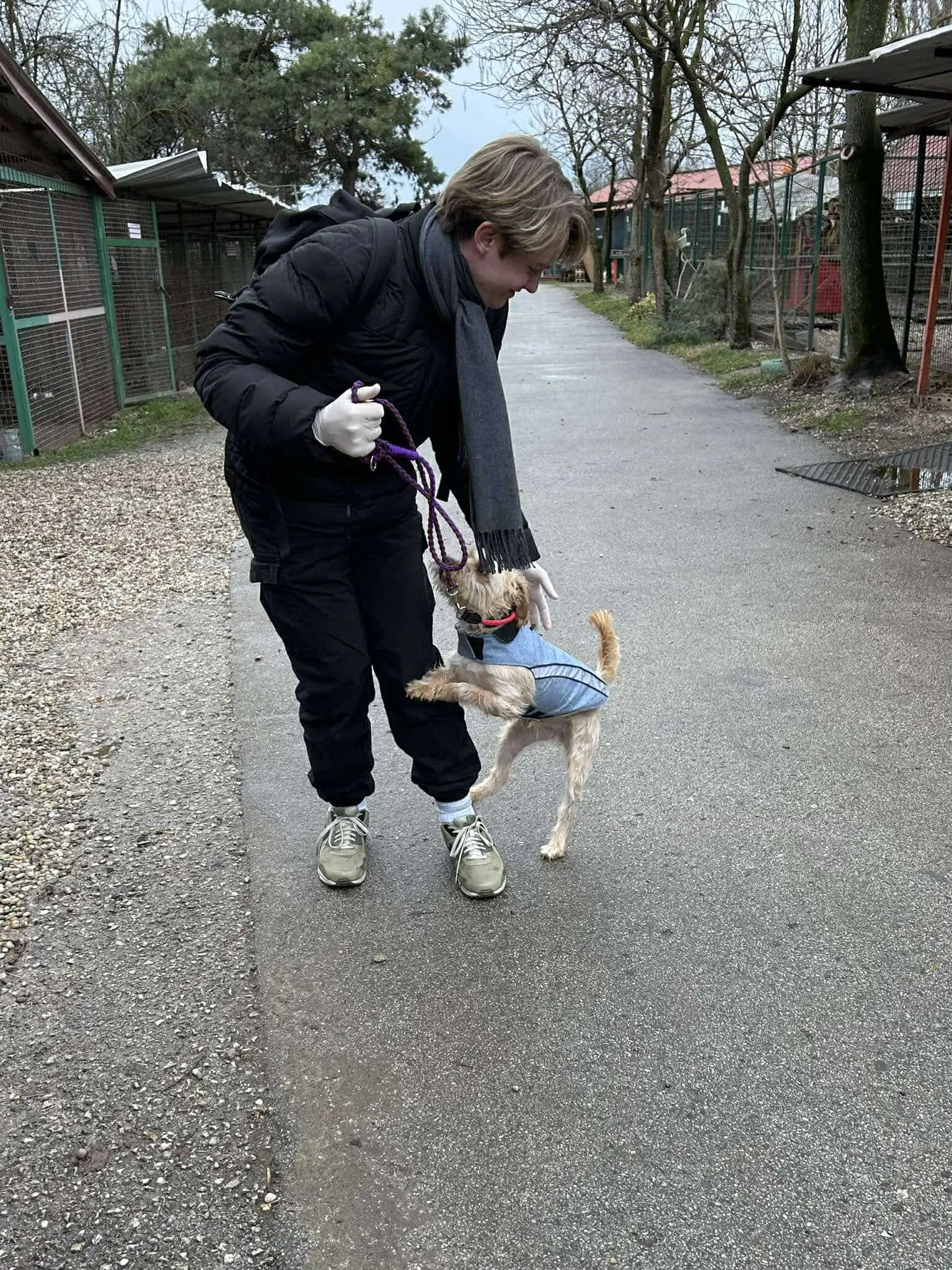 gimnazija josip slavenski u azilu (11)
