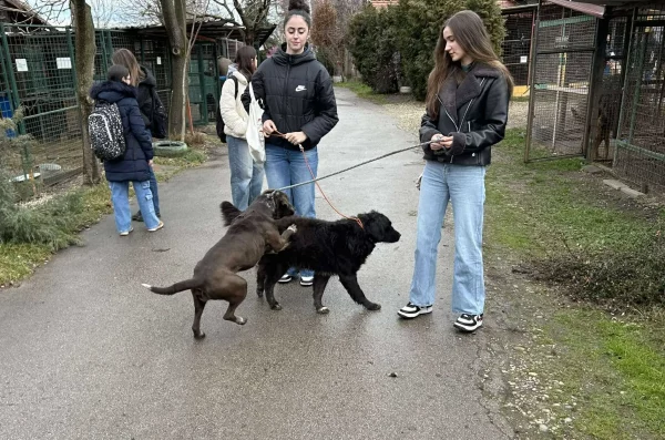 gimnazija josip slavenski u azilu (12)
