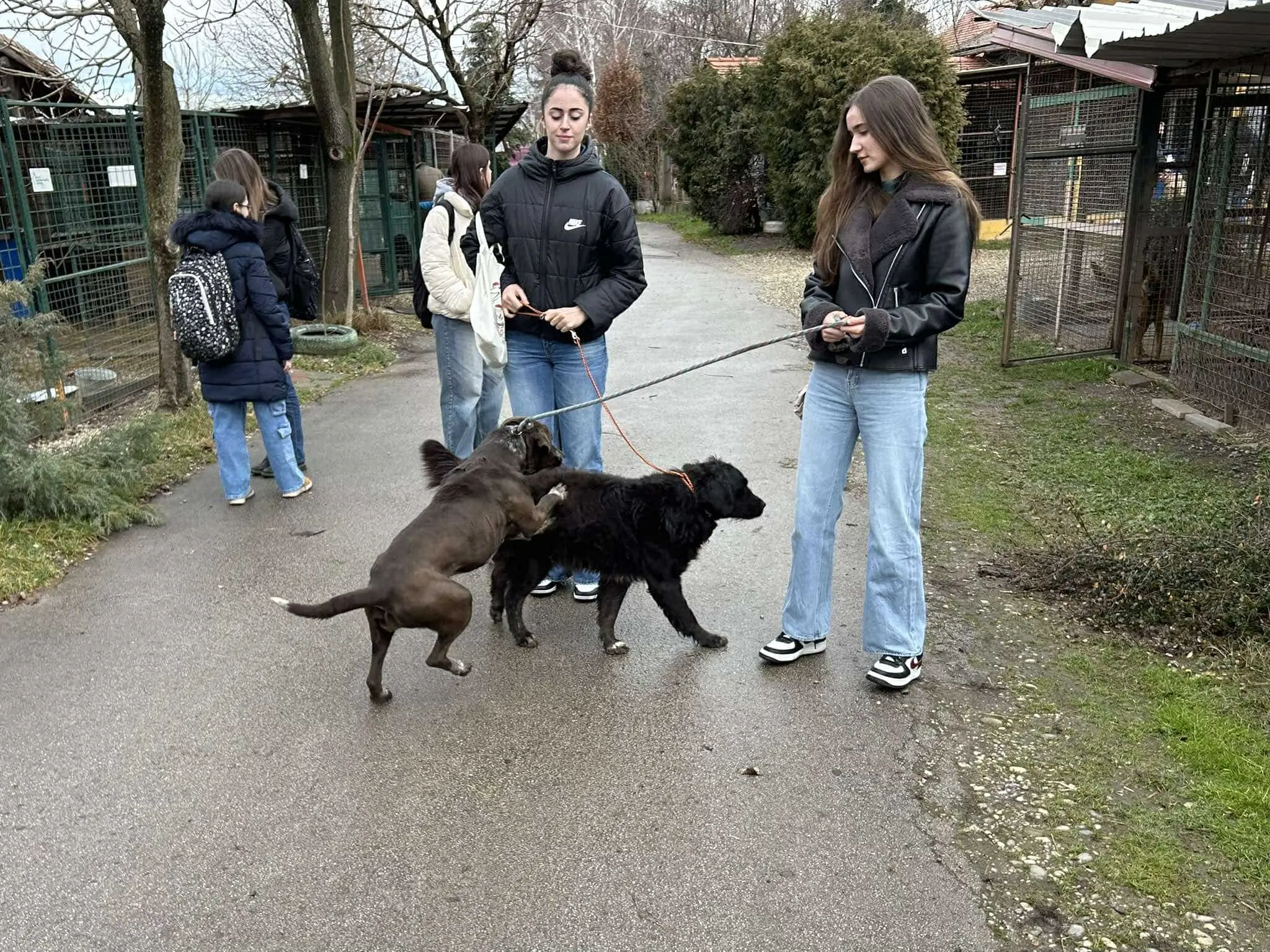 gimnazija josip slavenski u azilu (12)