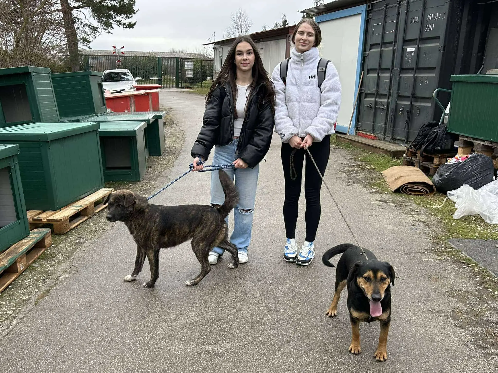 gimnazija josip slavenski u azilu (2)