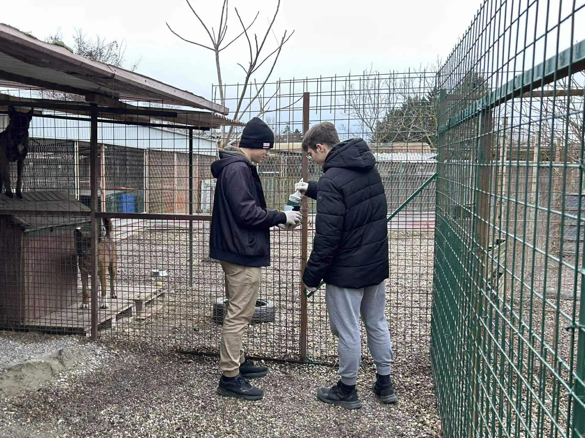 gimnazija josip slavenski u azilu (6)