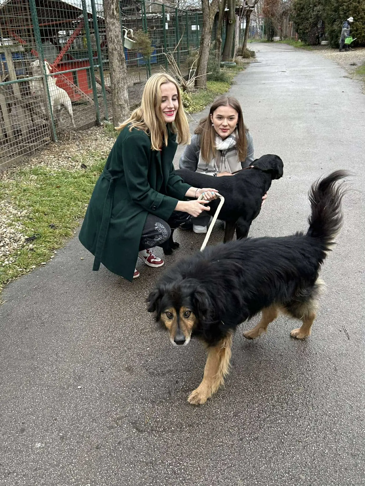 gimnazija josip slavenski u azilu (7)