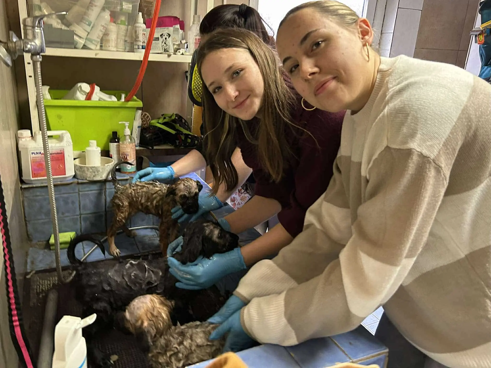 gimnazija josip slavenski u azilu (9)