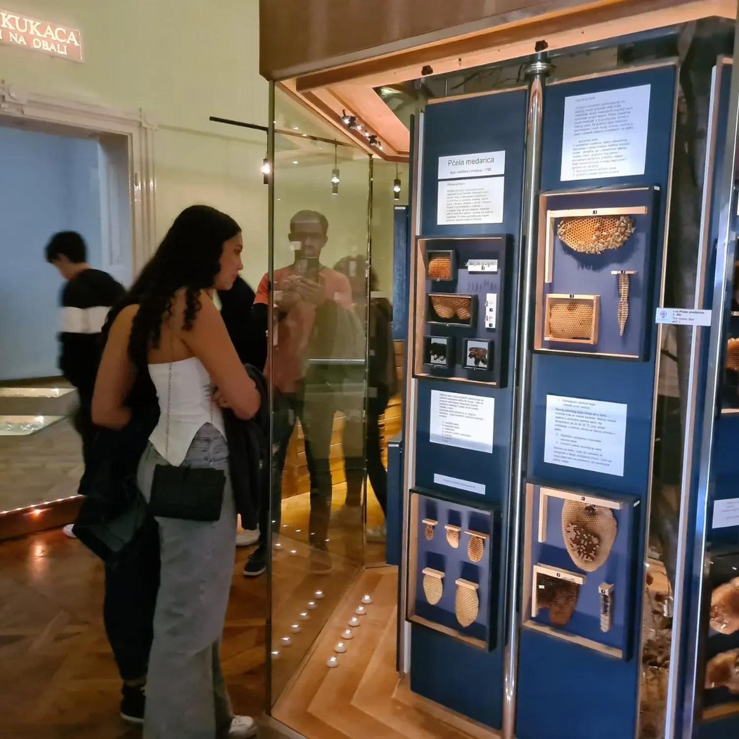 gimnazija prijatelji iz španjolske (10)