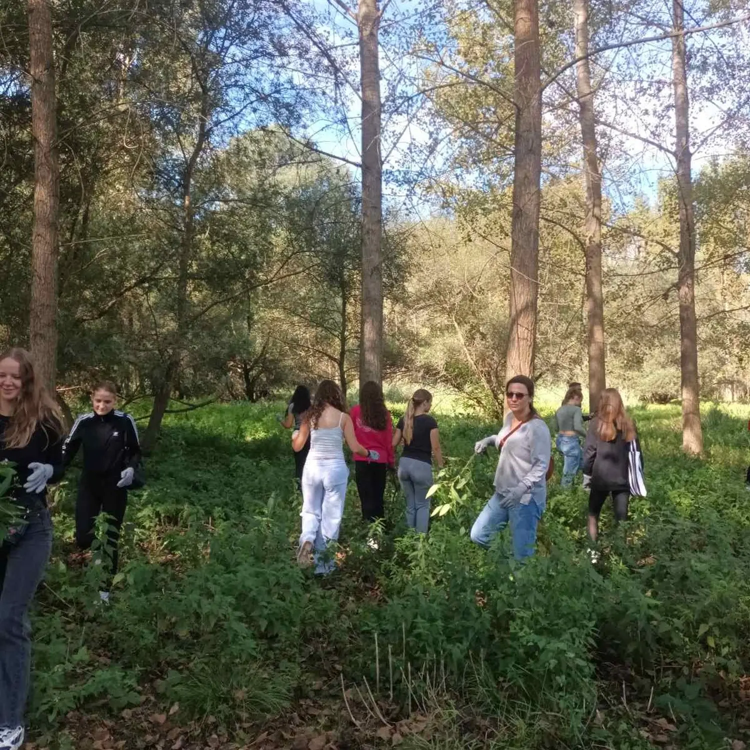 gimnazija prijatelji iz španjolske (9)