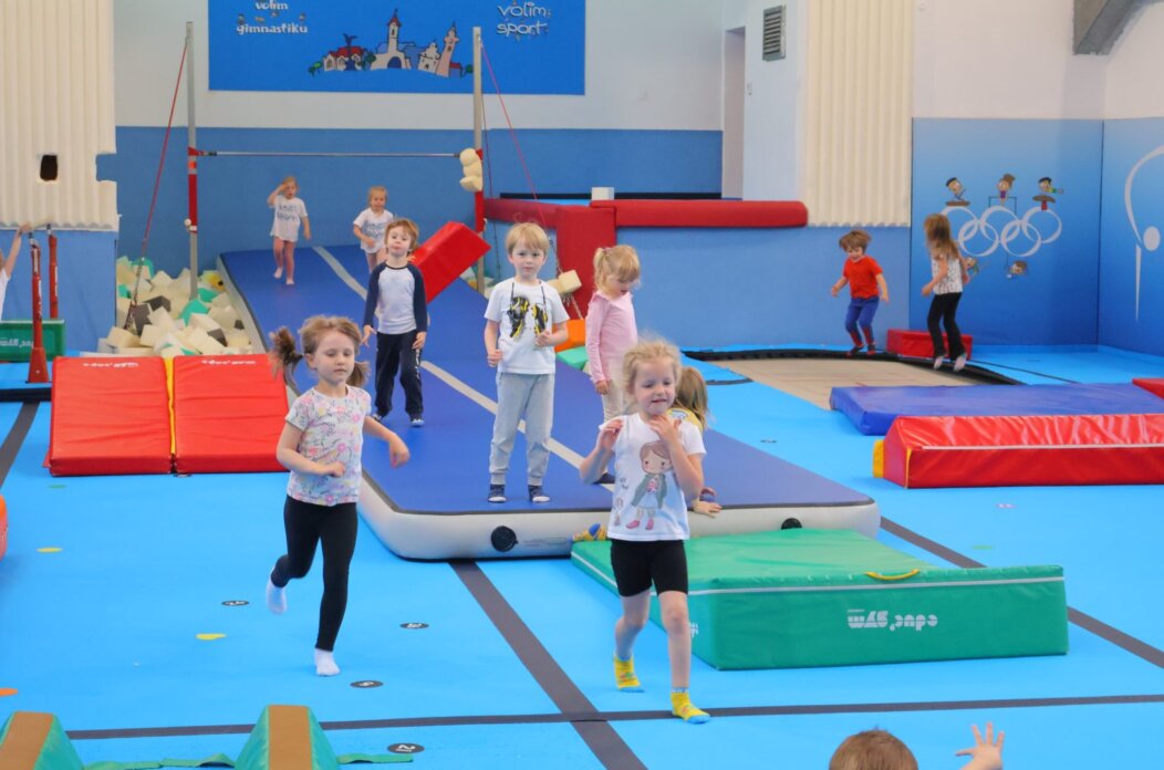 gk marijan zadravec macan (12)