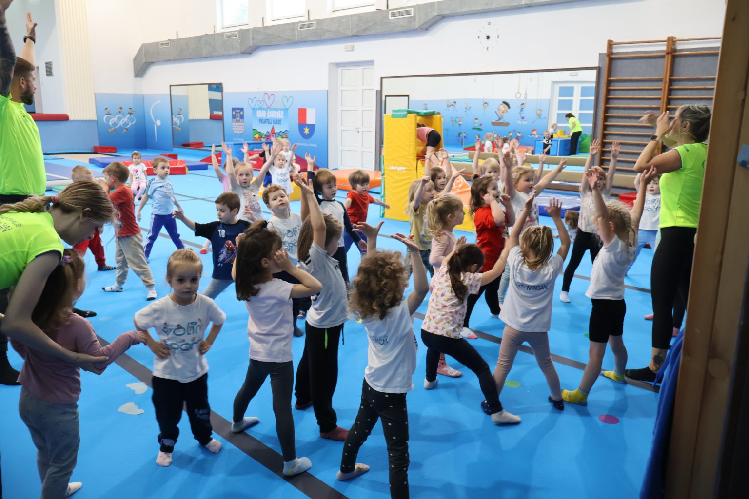 gk marijan zadravec macan (5)