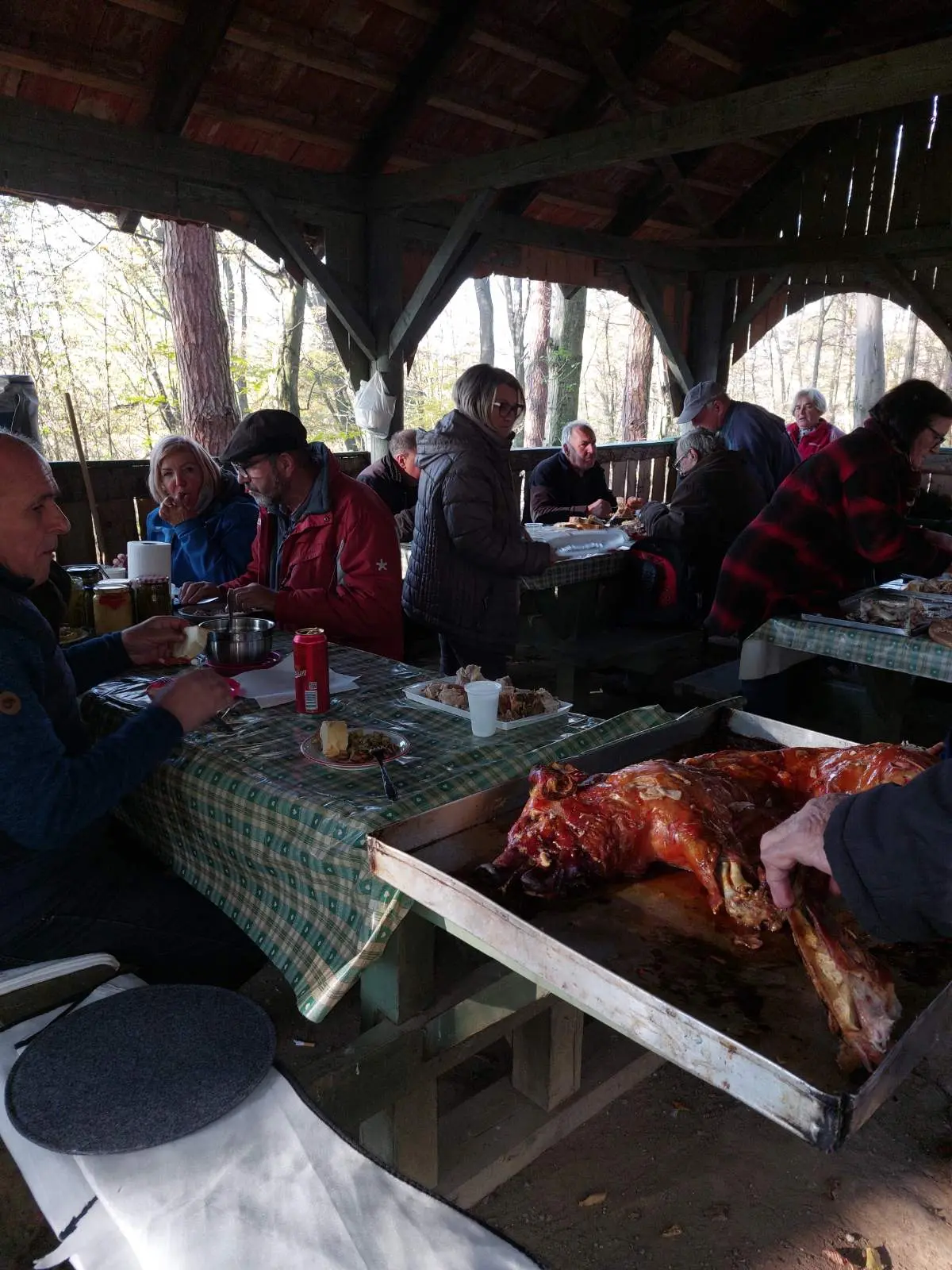 gljivarsko društvo ‘smrčak’ (7) gljivarsko društvo ‘smrčak’ (7)