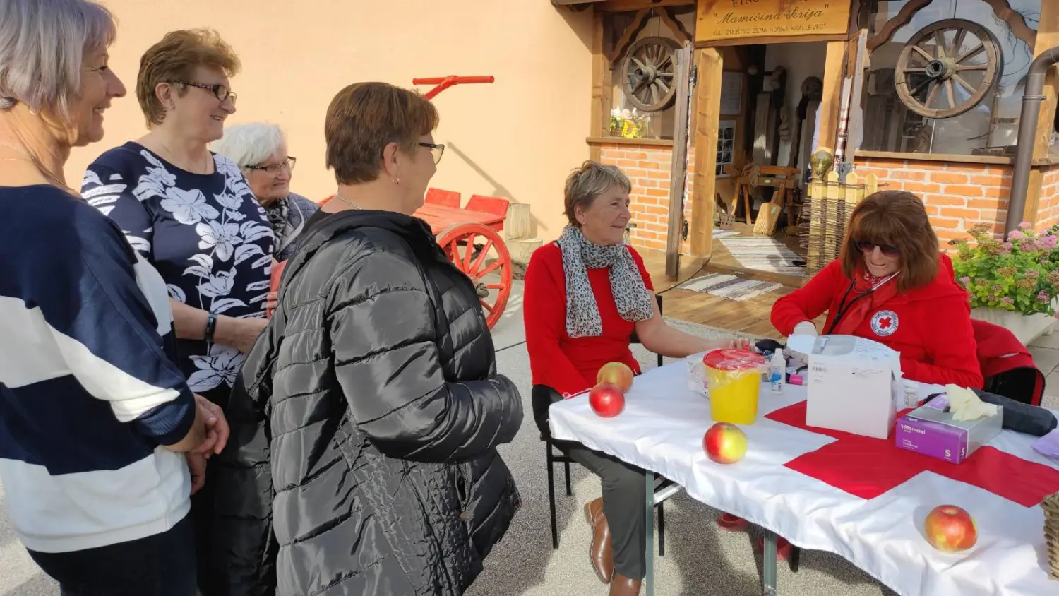 gornji kraljevec, alenka novak mjerišećer i tlak (4)