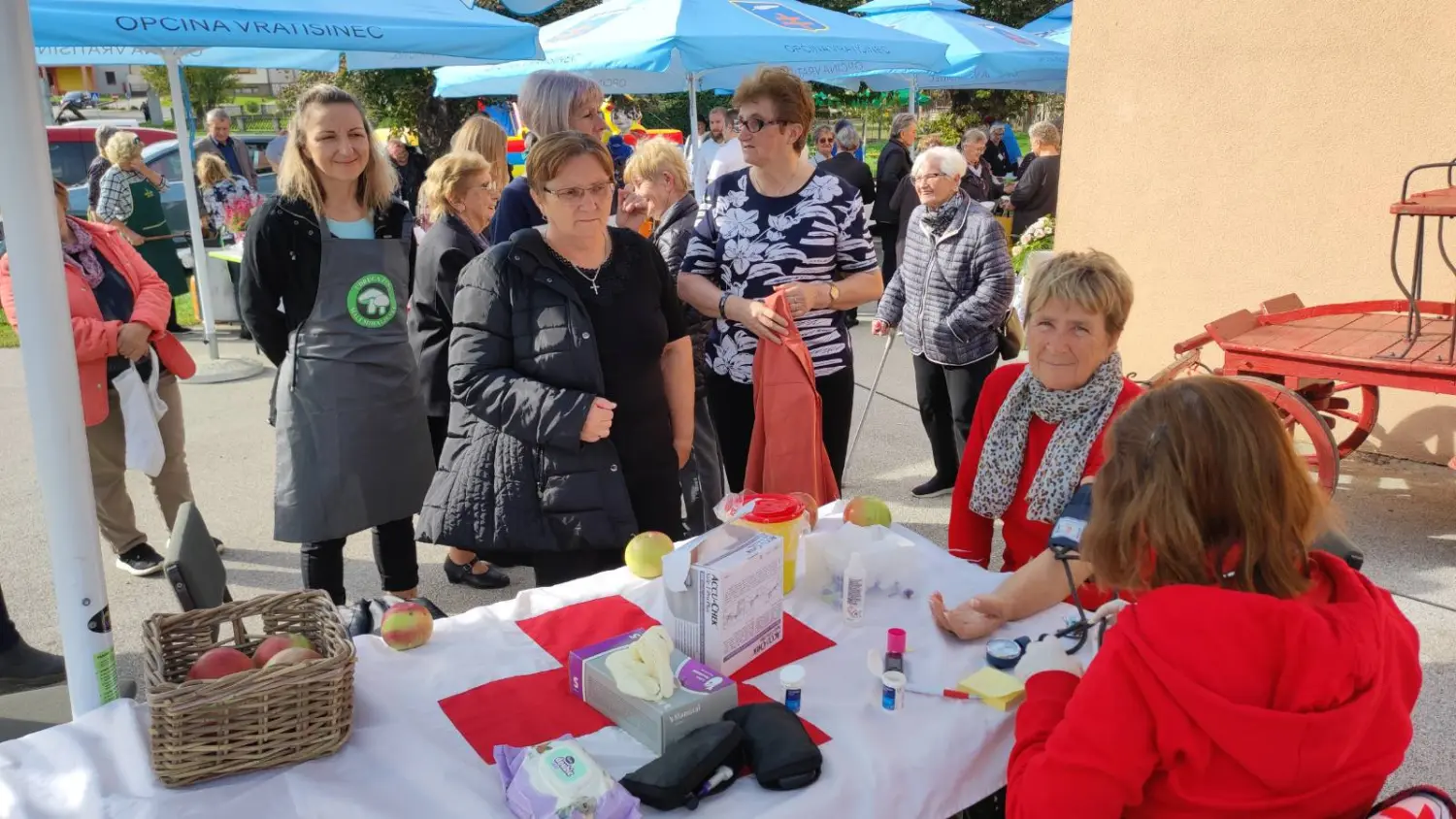 gornji kraljevec, alenka novak mjerišećer i tlak (6)