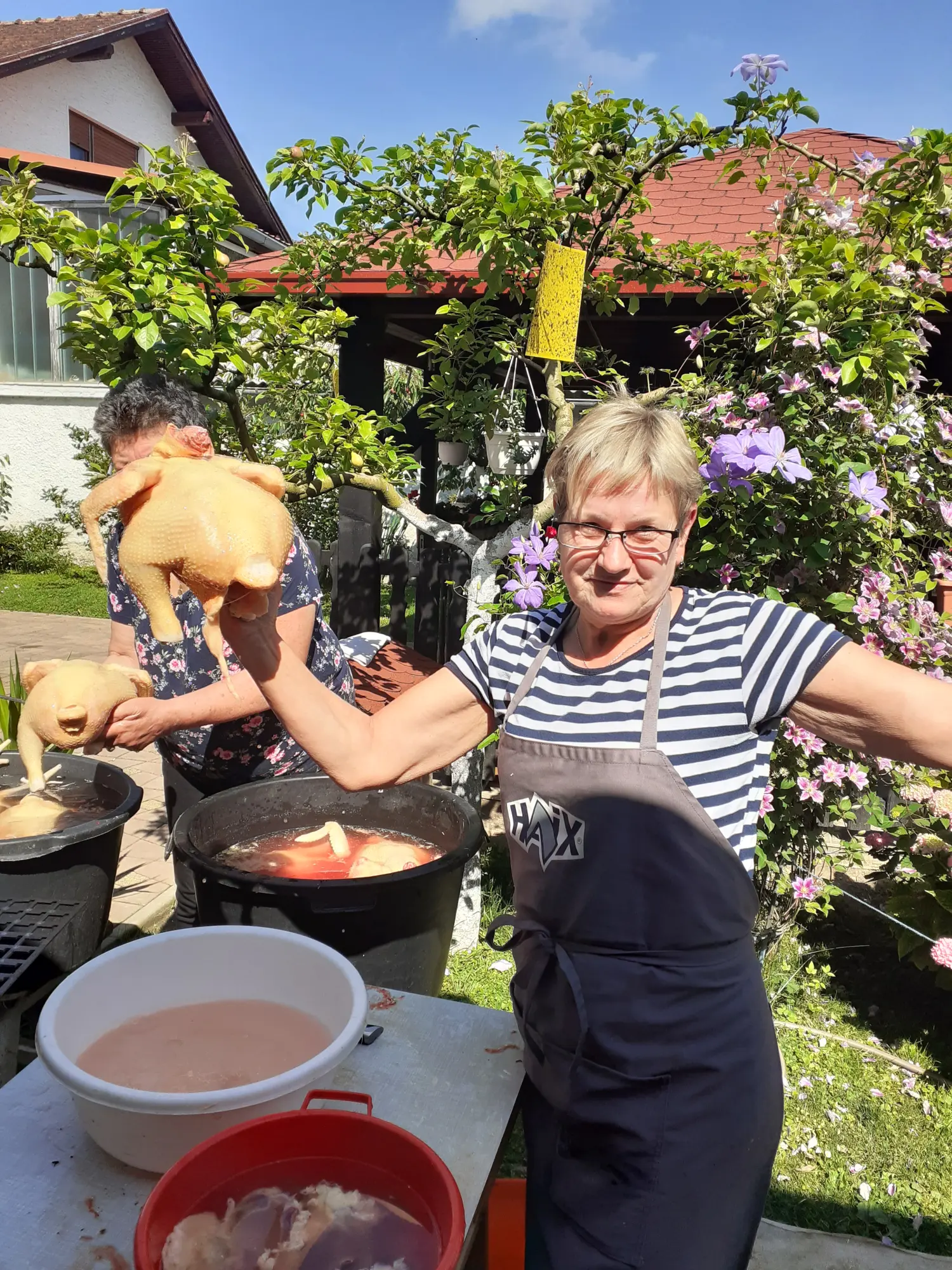 gornji mihaljevec,kralj,pilići (3) gornji mihaljevec,kralj,pilići (3)