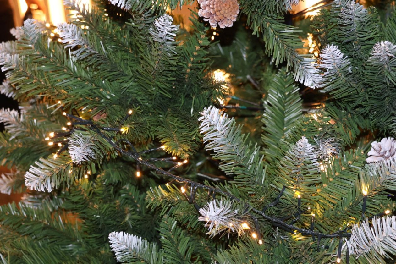 gospodarski forum Prelog 2025 119