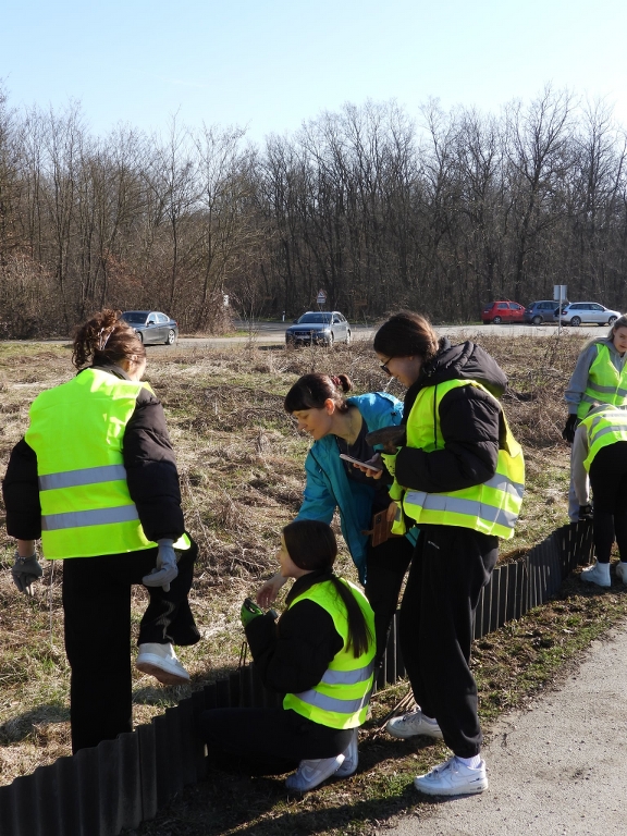 graditeljska škola čakovec akcija žabe na cesti (4) graditeljska škola čakovec akcija žabe na cesti (4)