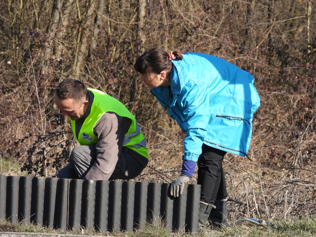 graditeljska škola čakovec akcija žabe na cesti (5) graditeljska škola čakovec akcija žabe na cesti (5)