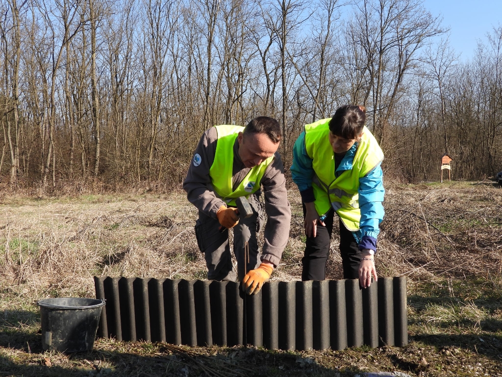 graditeljska škola čakovec akcija žabe na cesti (7) graditeljska škola čakovec akcija žabe na cesti (7)
