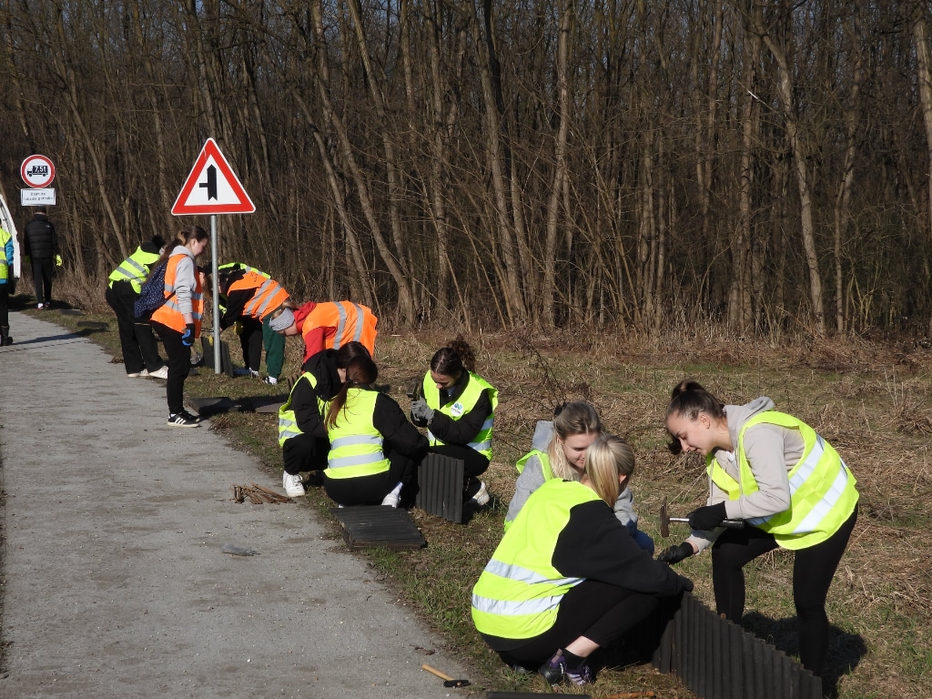 graditeljska škola čakovec akcija žabe na cesti (9) graditeljska škola čakovec akcija žabe na cesti (9)