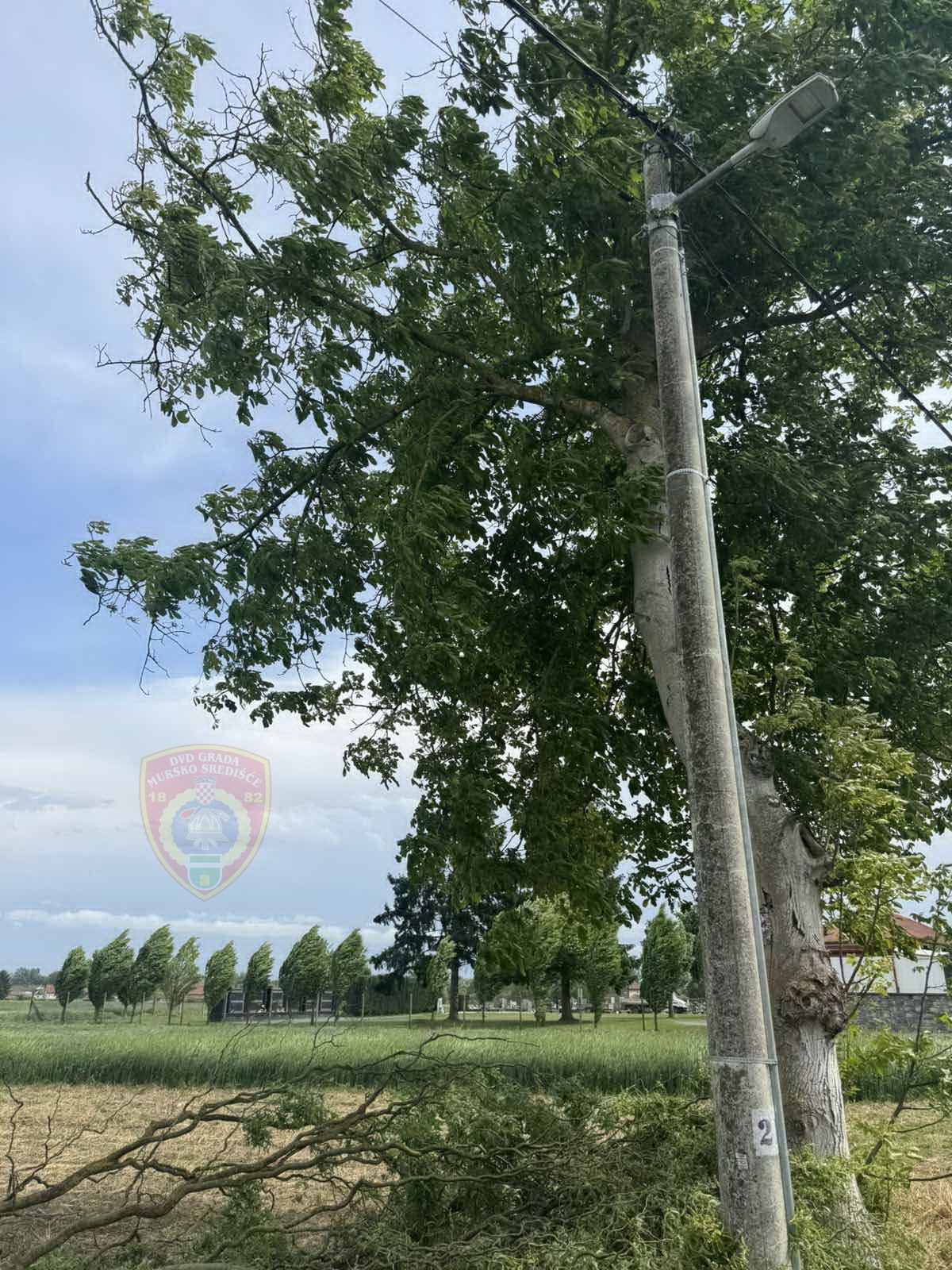 grana, dvd mursko središće (1) grana, dvd mursko središće (1)