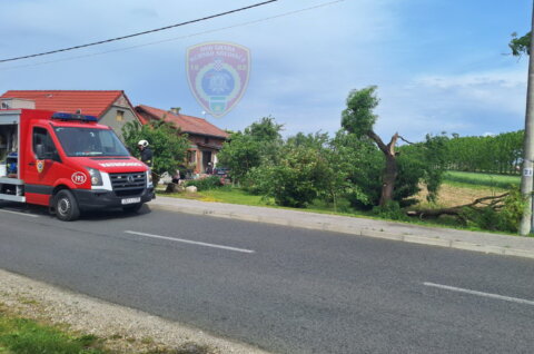 grana, dvd mursko središće (3)