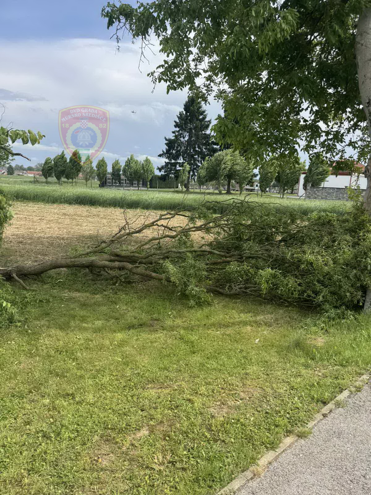 grana, dvd mursko središće (5) grana, dvd mursko središće (5)