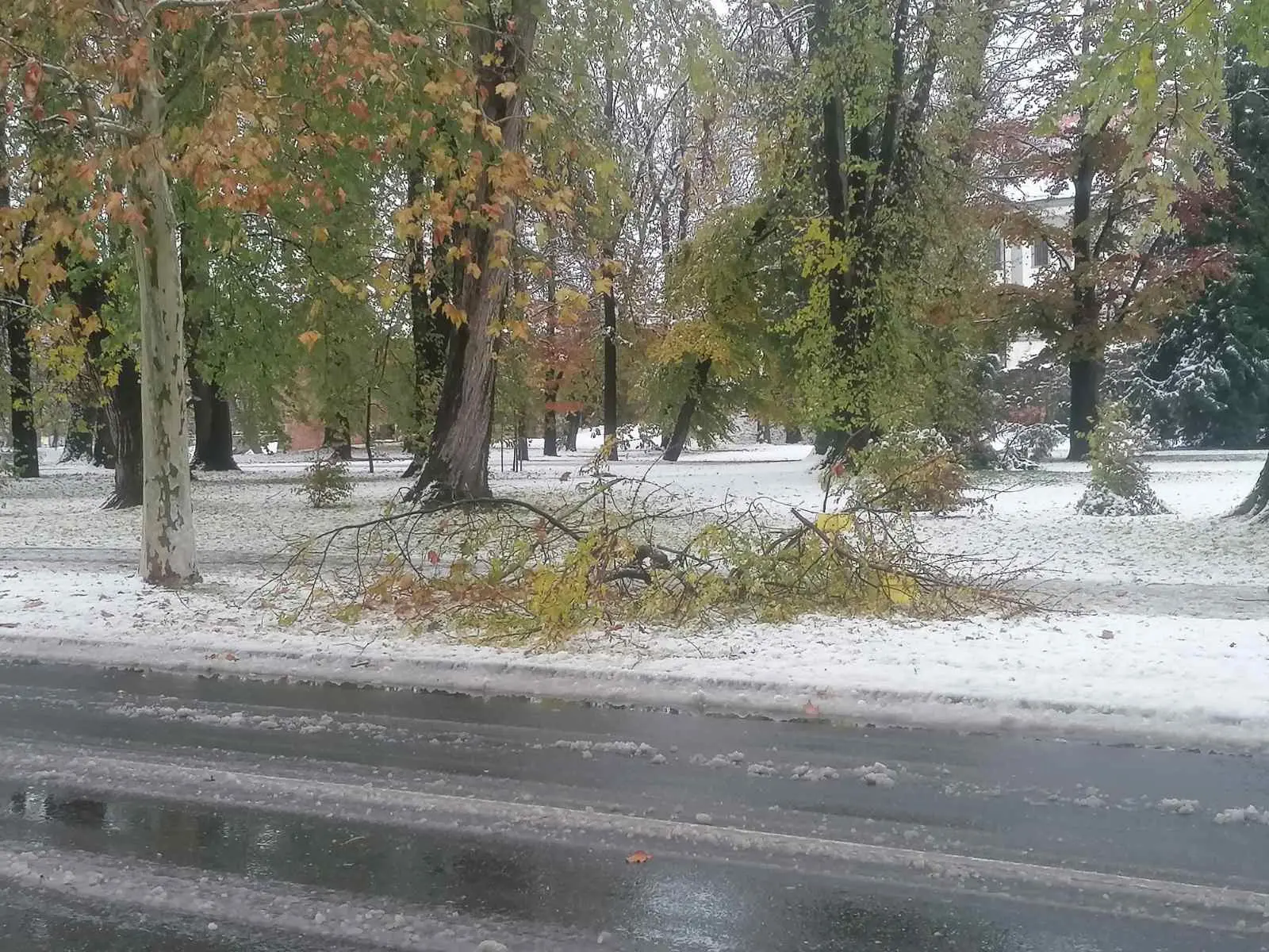 grana,zrinsko frankopanska ulica čakovec (8) grana,zrinsko frankopanska ulica čakovec (8)
