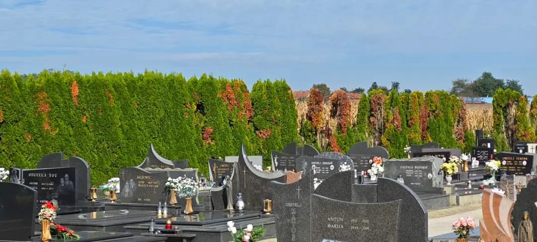 groblje peklenica, ograda (2)