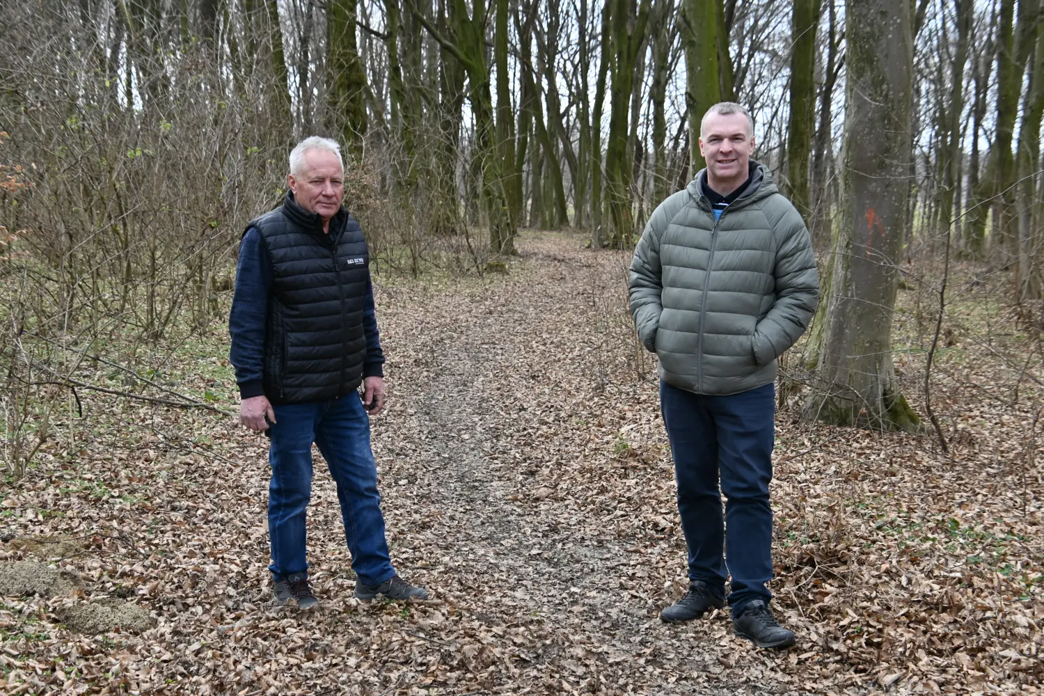 grogovski put, brezje (1)