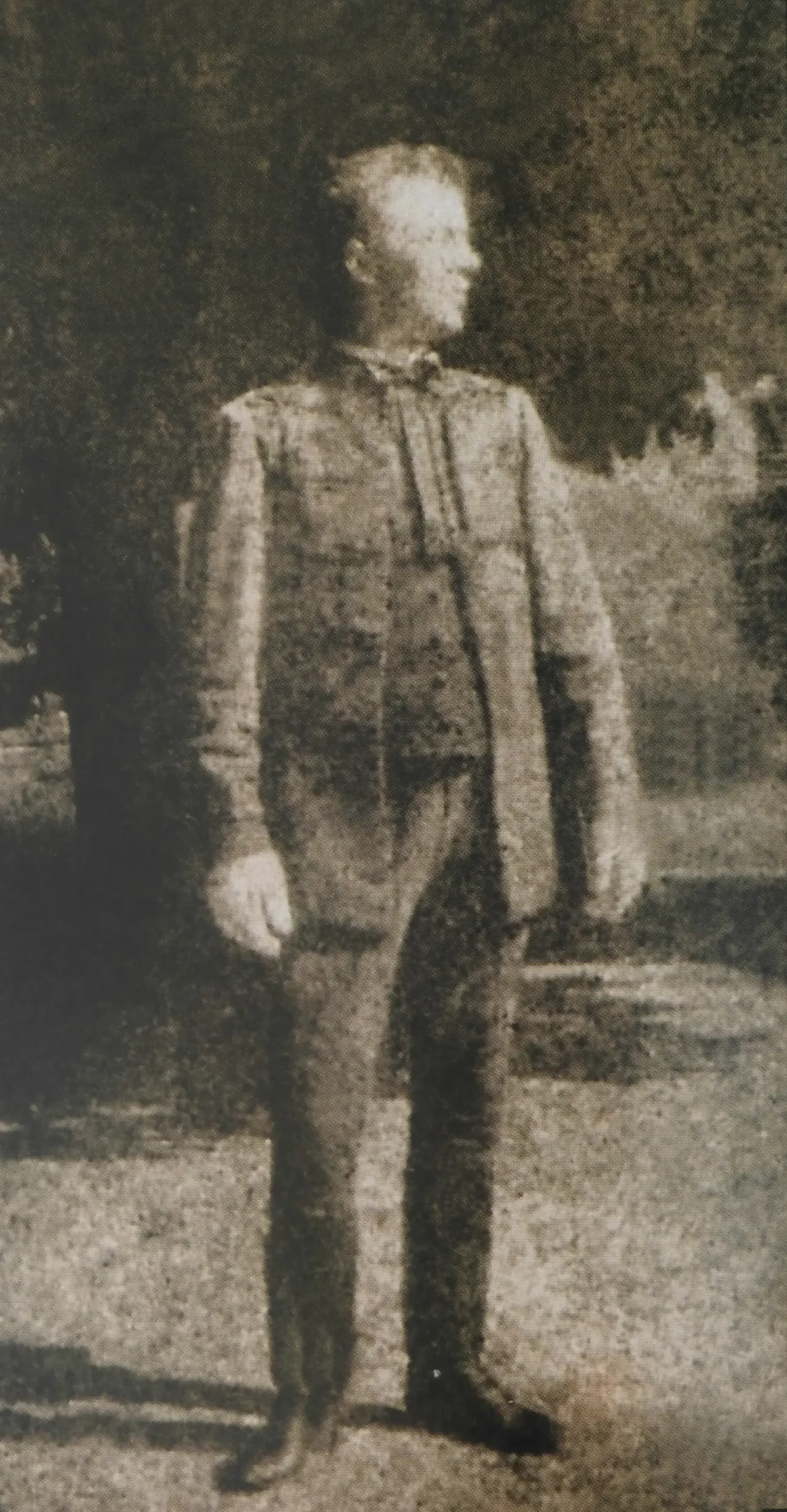 grogovski put, brezje (5)