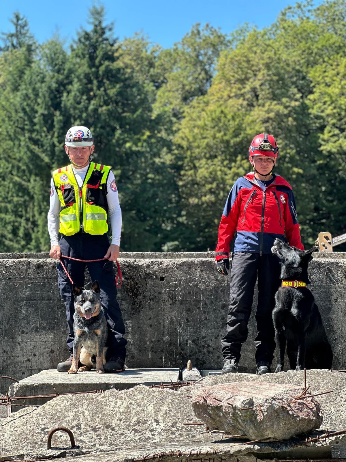 hgss stanica čakovec psi (2)