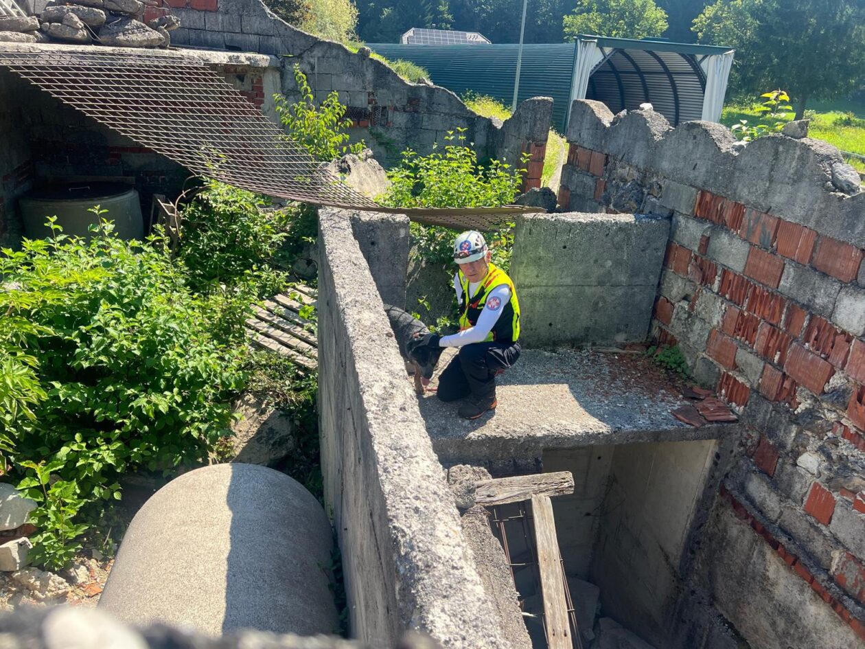 hgss stanica čakovec psi (4)