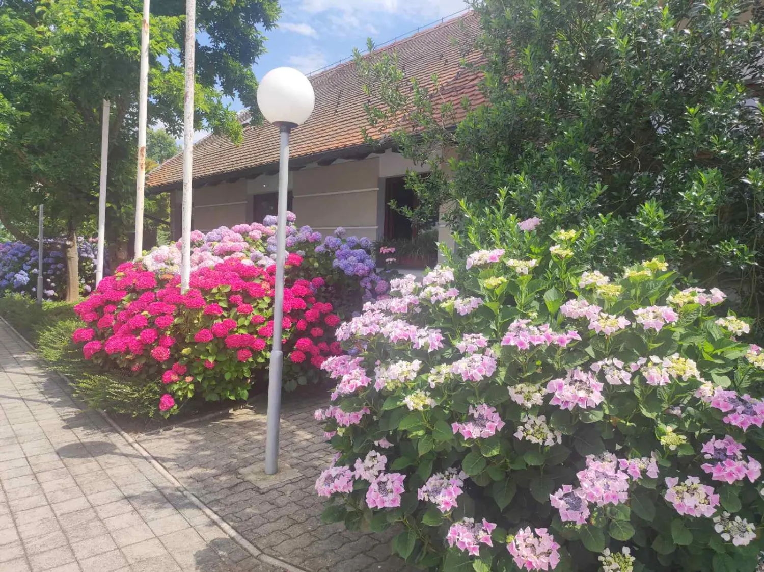 hotel golf, donji vidovec,dani jela (14)