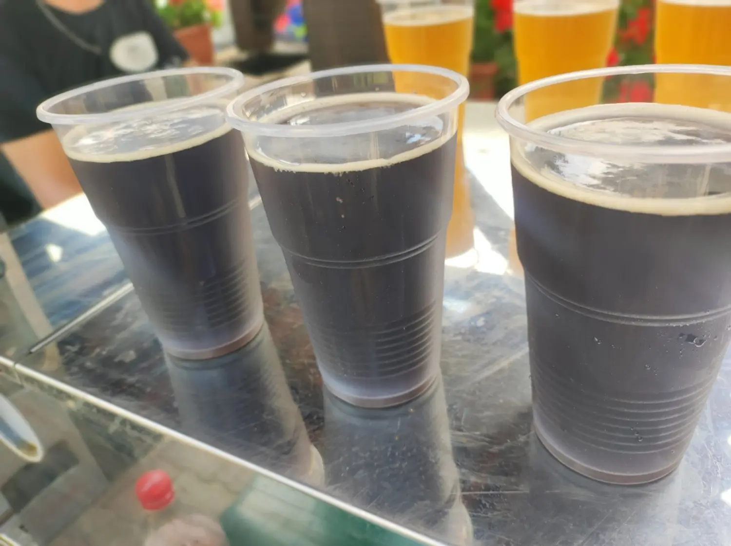 hotel golf, donji vidovec,dani jela (16)