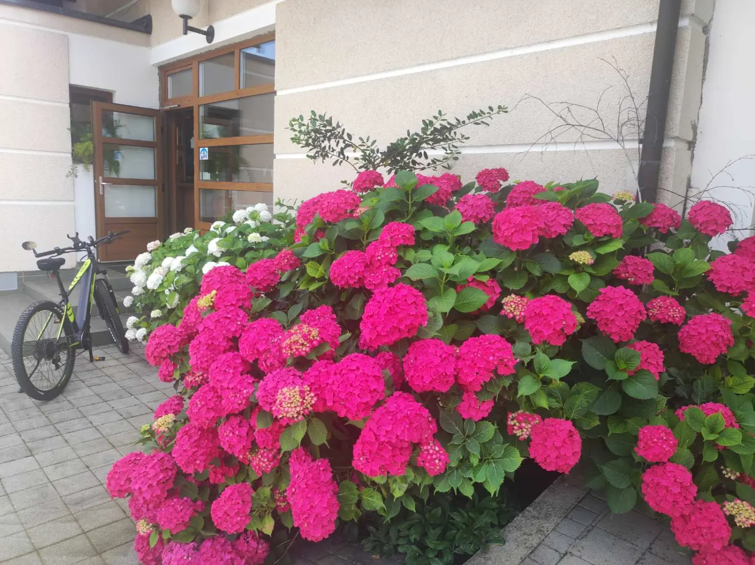 hotel golf, donji vidovec,dani jela (33)