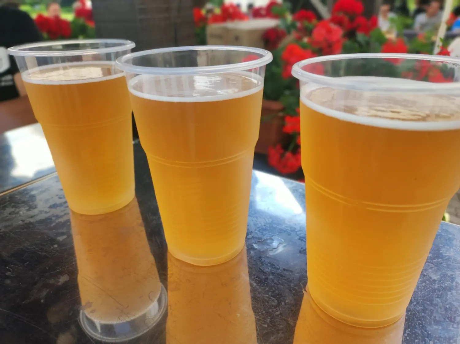 hotel golf, donji vidovec,dani jela (35)